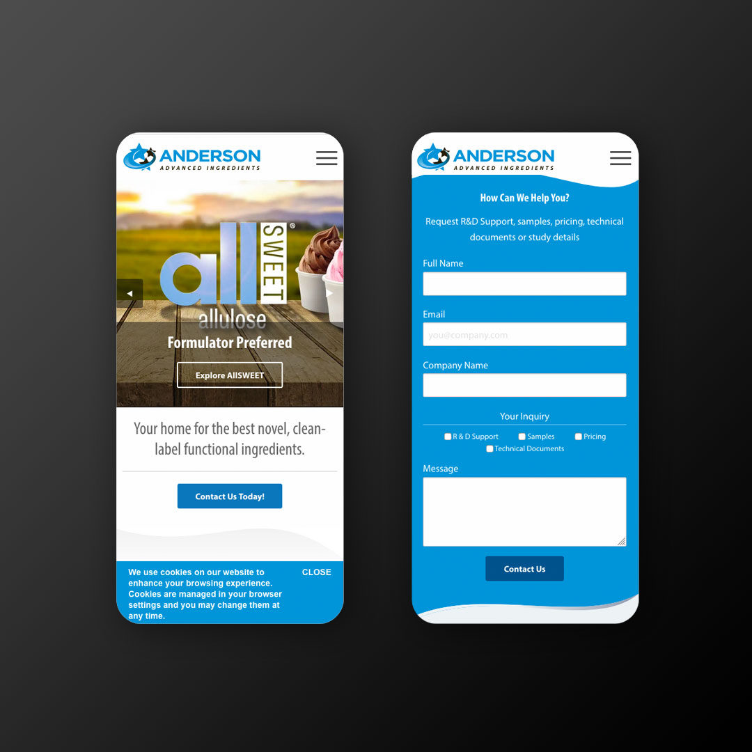 Anderson Advanced Ingredients Web Design